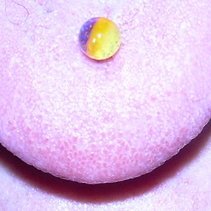 Click to enlarge